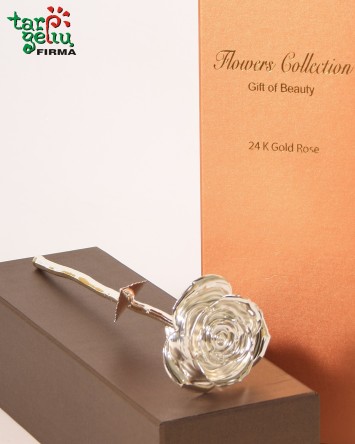 Sidabru dengta tikra rožė