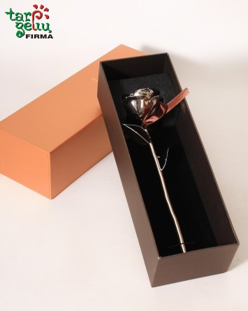 Sidabru dengta tikra rožė