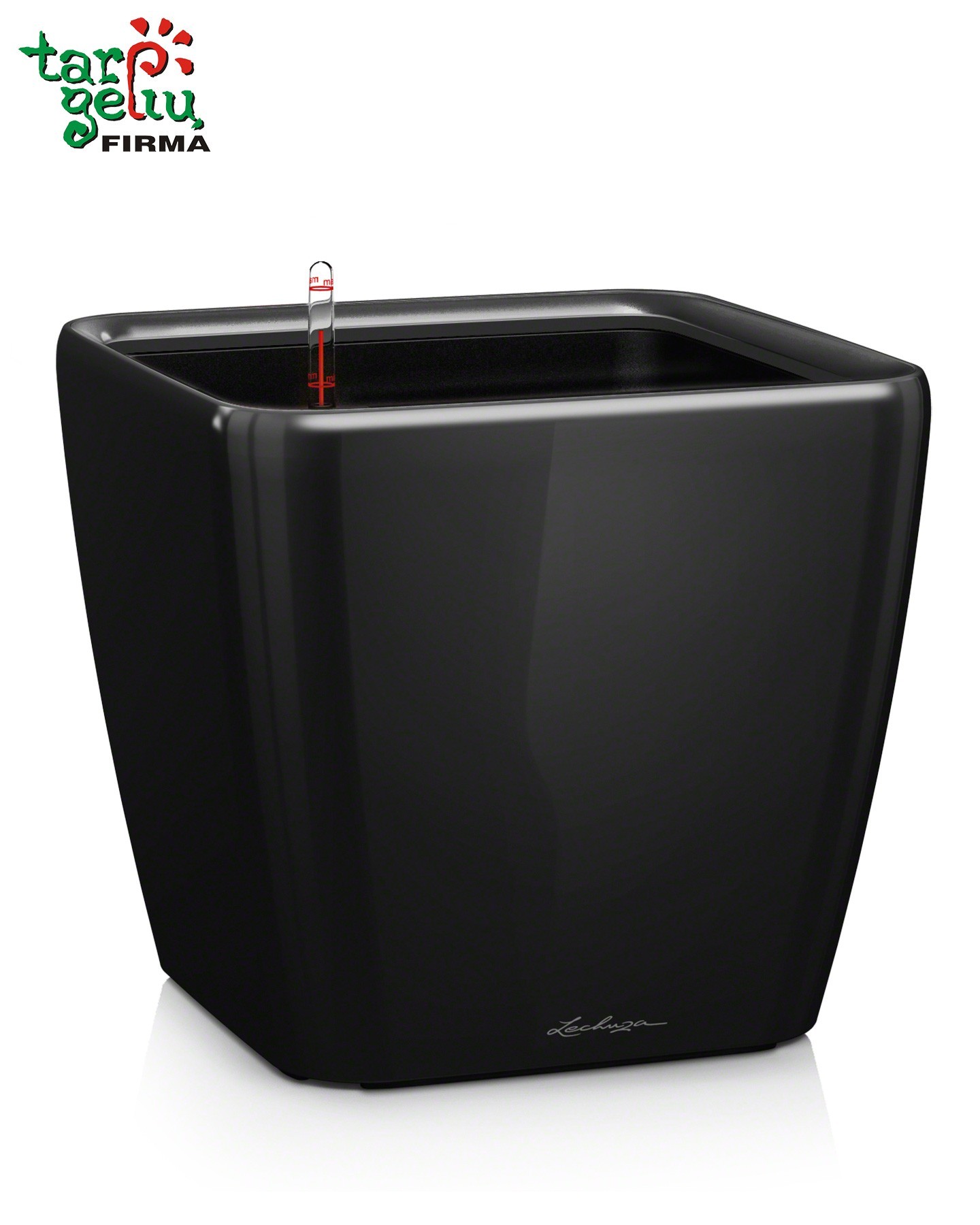 QUADRO LS