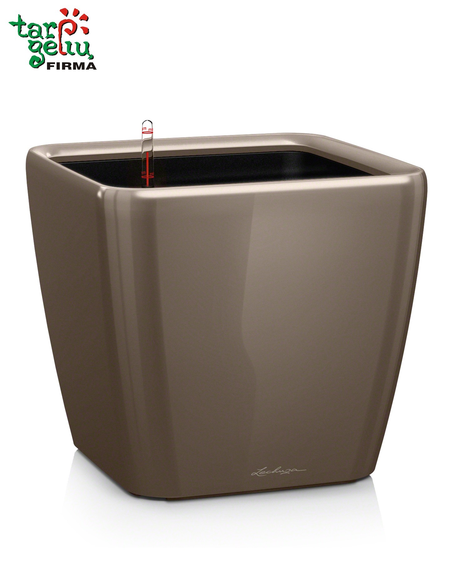 QUADRO LS