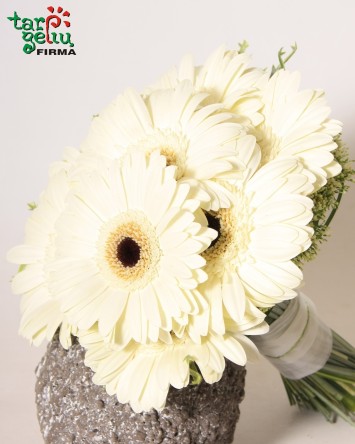 Vestuvinė puokštė su gerberomis