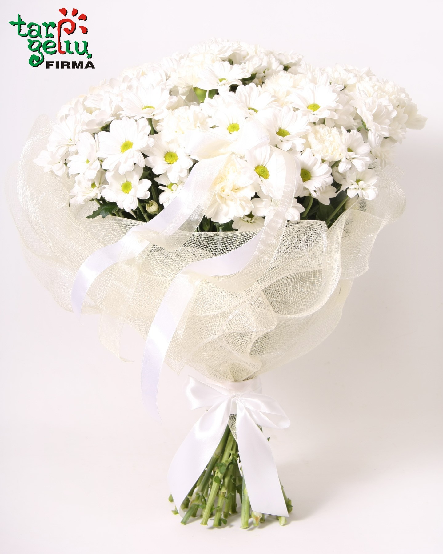 Puokštė "Šviesus rytas"