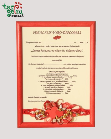 Idealaus vyro diplomas