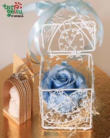 Dovana "Tavo angeliukas"