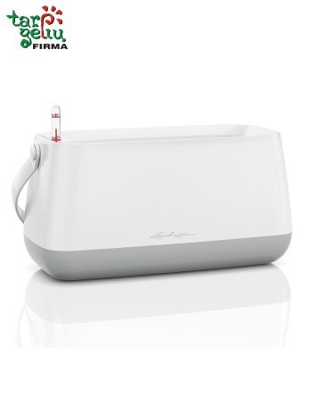 Gėlės vazone krepšelyje "Yula"