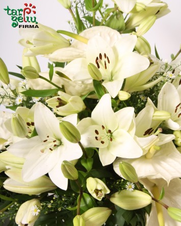 Funeral arrangement of lilies