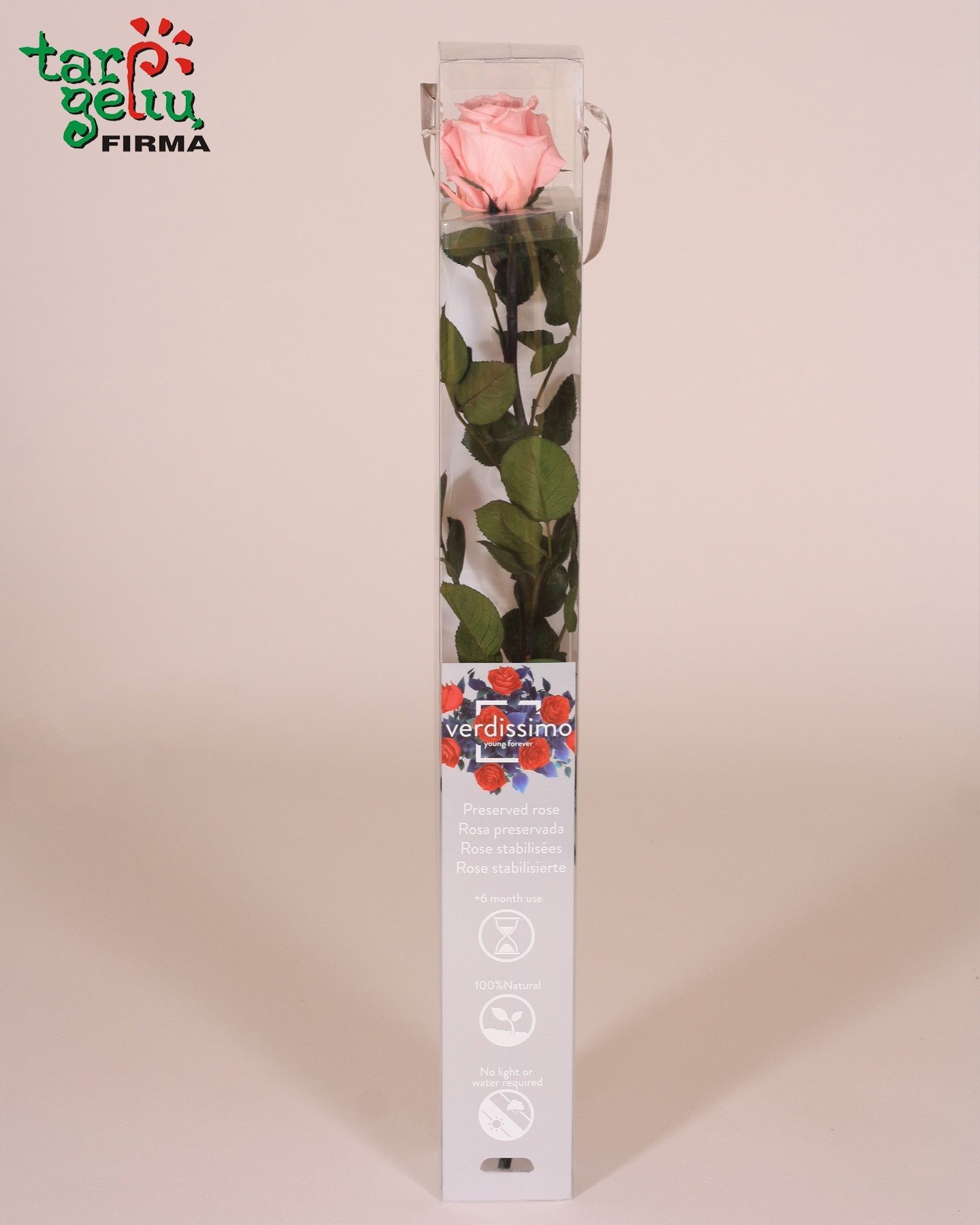 Стабилизированая роза