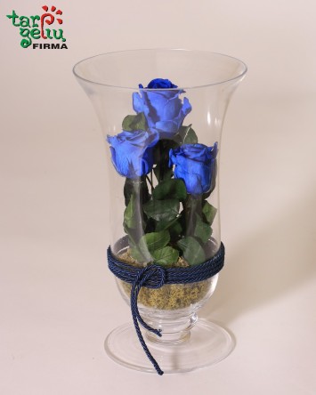 Композиция "Ocean"