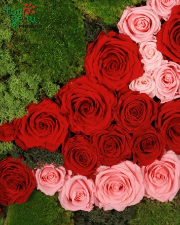 Stabilizuotų rožių ir samanų paveikslas