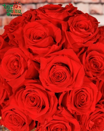 "Кубок любви"