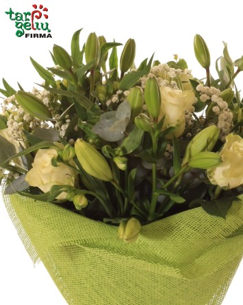 "Зелёная гармония"