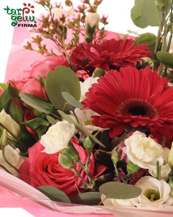 Bouquet of Pink Colors