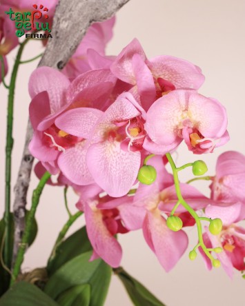 Artificial composition "Pink Orchid"