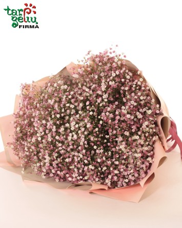 Букет из розовой гипсофилы