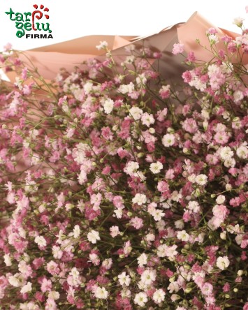 Букет из розовой гипсофилы