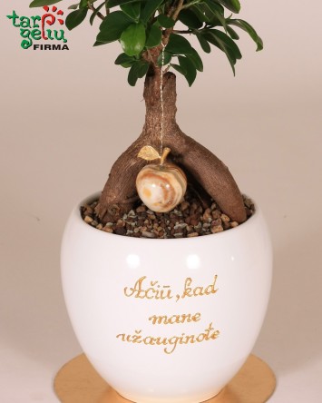 Stilizuotas bonsas - padėka tėvams