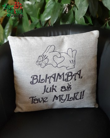 Pagalvėlė "Bliamba, juk aš...