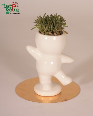 Plant in a pot "Smile"