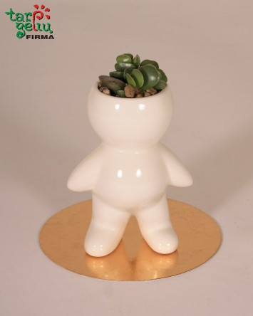 Plant in a pot "Smile"