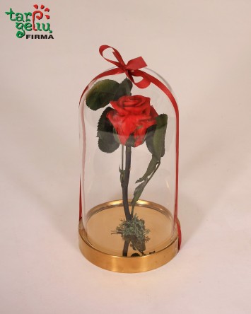 Композиция GREEN LEMON