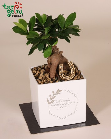 "Kad verslas klestėtų, o...