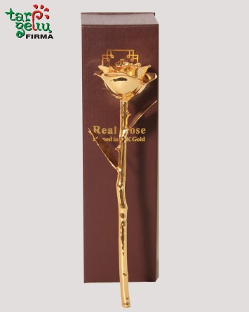 Golden Rose