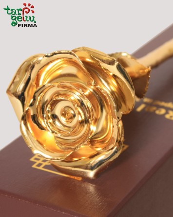 Golden Rose