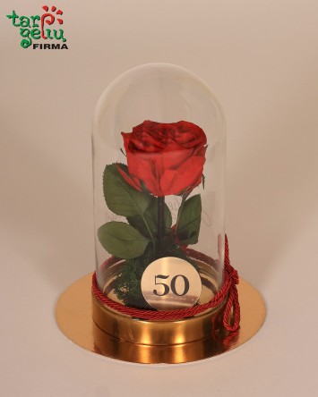 "Mieganti" rožė po gaubtu jubiliejaus proga