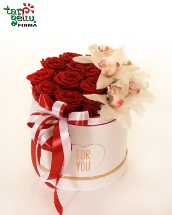 "Švelnus prisilietimas"