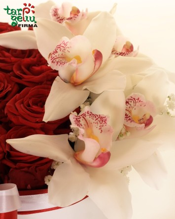 "Švelnus prisilietimas"