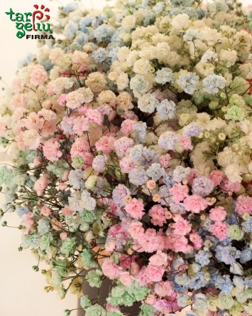 "Spalvų ir gėlių kontrastas"