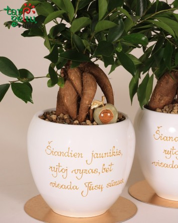 „Priminsi - nepagadinsi“