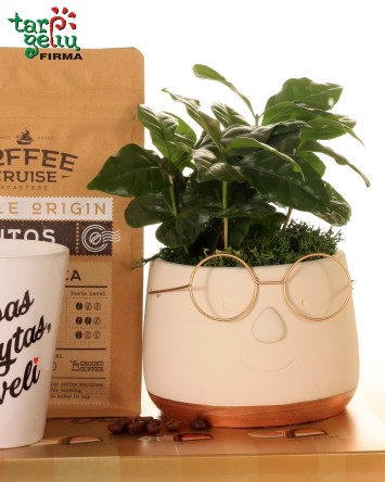 "Nepakartojamas tėčio kavos rytas"