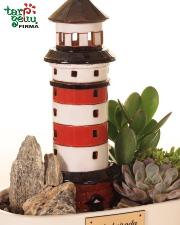 Райское яблоко