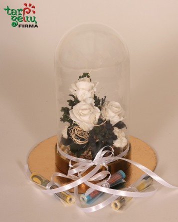 Miegančios rožės po gaubtu...