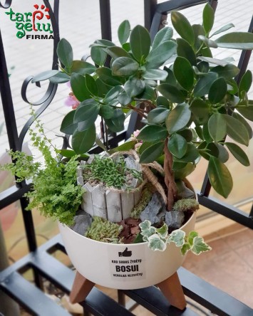 Bosui, kad verslas ir sodas...