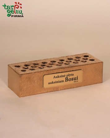 "Auksinė plyta auksiniam...