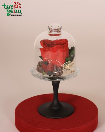 Композиция GREEN LEMON