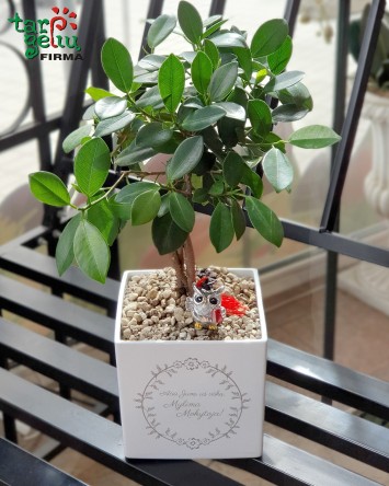 "Ačiū Jums už viską, mylima...