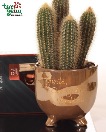 Ne tik "Ginti. Saugoti. Padėti"