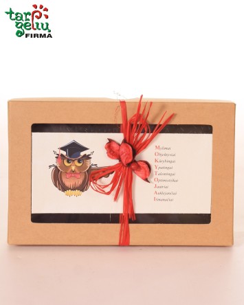 Išmintingumo šokoladas mokytojai