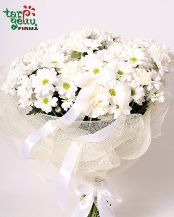 Puokštė "Šviesus rytas"